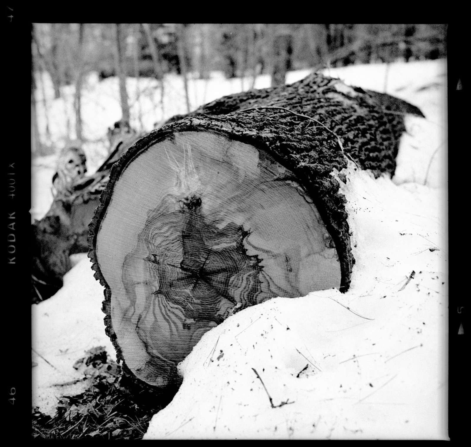Hasselblad 80mm f2.8